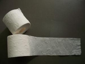 Wholesale embossed 2ply Toilet Tissue roll, bath tissue, toilet paper from china suppliers