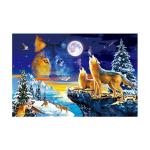 0.75mm Thickness Plastic Animal 3D Lenticular Pictures For House Decoration