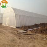Easy Installation High Tunnel Agriculture Greenhouse for Small Farms Single
