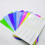 Customized Logo Professional PVC Disposable Entertainment Admission Tickets