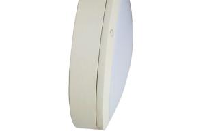 Wholesale Natural White IP65 Outdoor LED Ceiling Light For Warehouse 10W 800 Lumen 50 - 60hz from china suppliers