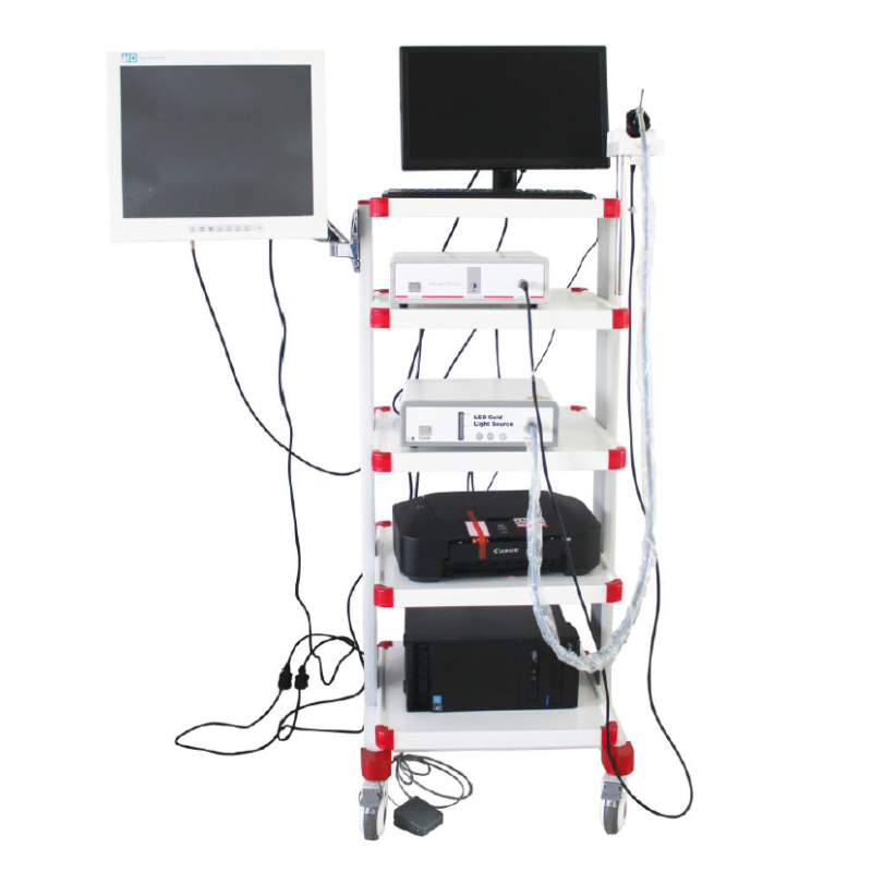 1080P Full HD Endoscopy Camera System Single CMOS Rigid / Flexible For ENT