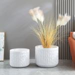 Stunning Plant Display With Fiber Clay Planters Durable And Stylish
