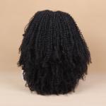 Wholesale Price Afro Wave Synthetic Lace Front Wigs 8-26 Inches