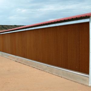Wholesale Greenhouse Cooling Pad System Automatic / Wet Evaporative Cooling Pads For Greenhouse from china suppliers