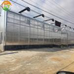 PC Greenhouse for Multi-Span Agricultural Greenhouses Section 8.0m Strong