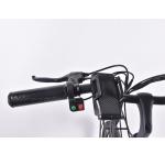 PAS Electric Cargo Bicycle 250W 36V With 10000mAh Lithium Battery
