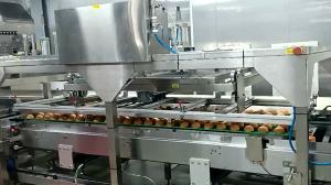 Wholesale 380V 50HZ Bread Production Line with Endless SUS Modular Mesh Belt Conveyor from china suppliers