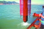 Electrical Vibroflot with 377mm Outer Diameter and Motor Power 75-180 Kw