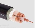 Muticore Flexible PVC Insulated Control Cable 70℃ Max Temp Industrial Use