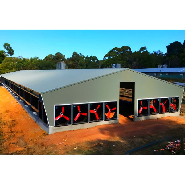 Easy Assembly 120km/h Wind Resistance Prefabricated Steel Structure with CE Certified