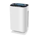 Wall Mounted 99% Remove PM2.5 Intelligent Air Purifier Sterilizer UV Air