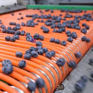 Wholesale Electric Drive Intelligent Blueberry Sorting Grading Machine 380V 6 Lanes from china suppliers
