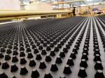 Green Roof HDPE Dimple Drainage Sheet Board Customized for Your Roofing