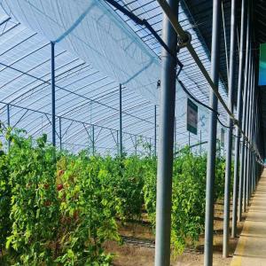 Wholesale PE Film Plastic Agriculture Greenhouse Solution Package Size 50.00cm * 60.00cm * 50.00cm from china suppliers