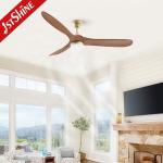 Indoor 10 Wood Blades LED Ceiling Fan with Customized ODM Lighting and Remote