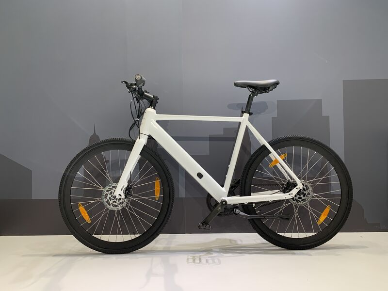 Urban Road Electric Bicycle with TRUCK Rear Drive 36V 250W Motor and Aluminum Alloy Frame