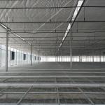 Galvanized Steel Framework Clear PE Film Ventilation System Multi Span