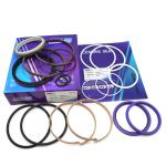31Y1-20450 Model Boom Seal Kit Hydraulic Repair Kits Suitable HYUNDAI R160LC-7