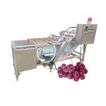 Fresh Corn Giant Inflatable Washing Machine Iso