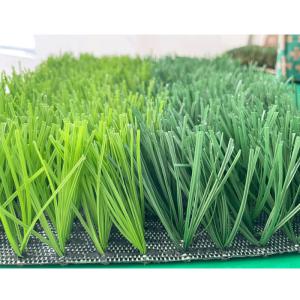 Wholesale PP Leno Backing Soccer Synthetic Grass Monofilament Structure from china suppliers