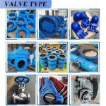 Y Type Customizable Inside Screw Stem Soft Seal Gate Valve with Stainless Steel