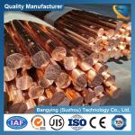 Pure Copper C11000 C12000 C12200 Tu1 Tp1 C10200 C1020 Cu-of Round Bar Rods for