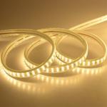 2 Years - Flexible LED Strip Light - PCB 10MM - LED Type Flexible Light Strip