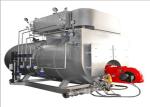 5T 5000kg LPG LNG Gas Fired Condensing Steam Boiler For Building Materials