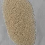 Washing Lipase Applying To Different Detergent Products Industrial Enzyme