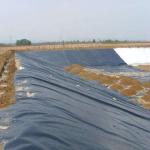 White 1mm 2mm HDPE Geomembrane for Water Dam Irrigation Water Tank Project