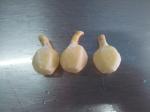 Frozen Arrowhead Slices(bell, pine cone, hexagon - shaped ) for food decoration
