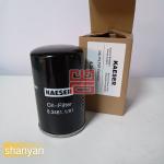 Kaeser Oil Filter Element Parts 6.3461.1 for Air Compressor Machinery Repair