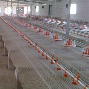 Wholesale Broiler Feeding Pan Poultry Drinking Line Nipple Drinker For Quail from china suppliers