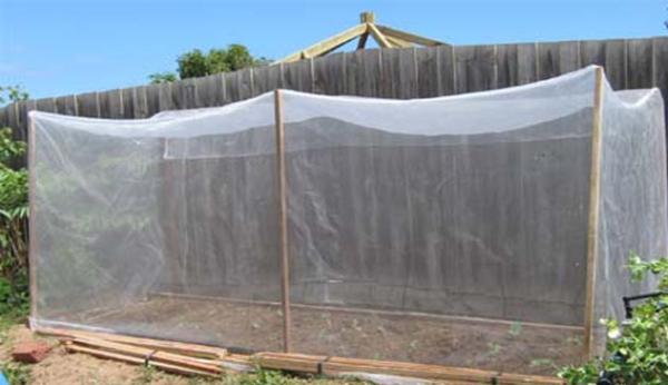 Silver Grey 45gsm Insect Proof Garden Netting 0.6 * 0.6mm Odorless For Small