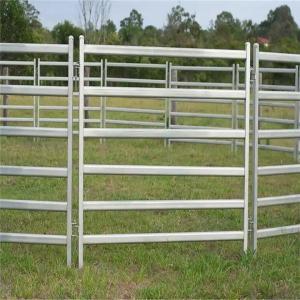 Wholesale Welded Netting Manufacture Supplier 2x2 Galvanized Cattle Welded Wire Mesh Panel from china suppliers