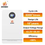 10.24kwh 51.2V 200Ah Home Energy Storage Battery with Capacity Lithium Ion