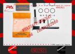 Diesel Engine Parts QSM11 ISM11 M11 Fuel Injector 4903472 4088384 4902921 for