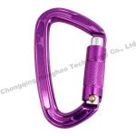 22KN D Shape Auto Lock High Strength Aluminium Alloy Climbing Safety Carabiner