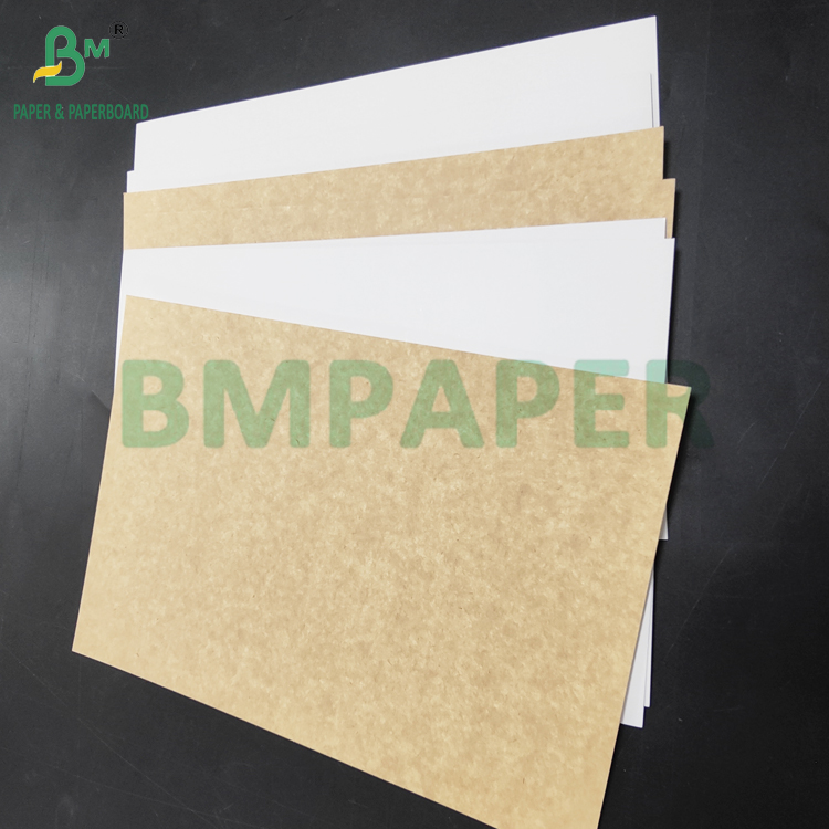 350gsm CKB White Surface Brown Kraft Back Paper For Salad Boxes 25'' x 38''