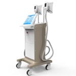 3d lipo 100% fat freeze cryolipolisis Safe And Effective 0-100kPa Vacuum