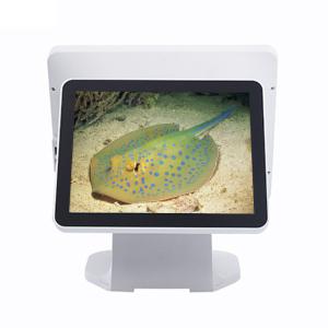Wholesale Stable Retail Touch Screen Cash Register For Small Business , Intel Celeron I7 Pos Dual Monitor from china suppliers