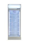 Factory Supply Frozen Food Vertical Display Freezer With Adjustable Shelves