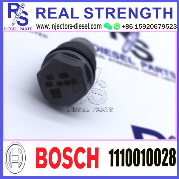 BOSCH PRESSURE LIMITING VALVE 1110010028-390 1110010028