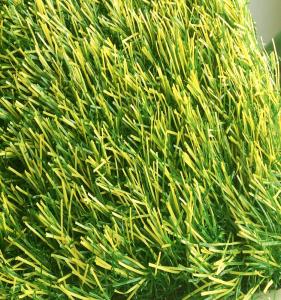 Wholesale Polyethylene Artificial Grass Landscaping / Buildings Synthetic Putting Green from china suppliers