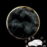 Anti Pilling Recycled Synthetic Low Melt Polyester Staple Fiber Anti Static