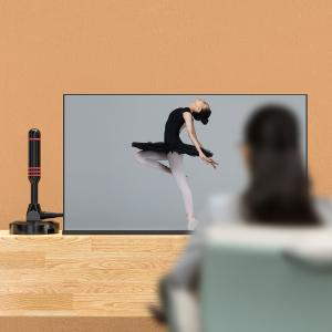Wholesale Magnetic Base DVB-T Active Antenna Connect Type Customized for High Definition TV from china suppliers