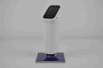 CS-520 Portable Spectrophotometer 20 Color Indexes 26 Illuminants