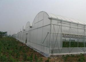 Wholesale Easy Install Agricultural Insect Netting , Anti Hail Netting For Greenhouse from china suppliers