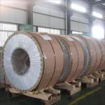 Hot/Cold Rolled Stainless Steel Coil of 904L 347/347H 317/317L 316ti 254mo with